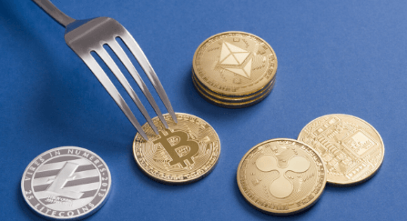 Hard Fork vs Soft Fork Explained
